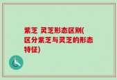 紫芝 灵芝形态区别(区分紫芝与灵芝的形态特征)