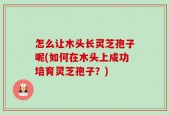 怎么让木头长灵芝孢子呢(如何在木头上成功培育灵芝孢子？)