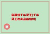 盗墓棺千年灵芝(千年灵芝现身盗墓棺材)