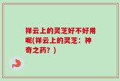 祥云上的灵芝好不好用呢(祥云上的灵芝：神奇之药？)