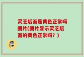 灵芝后面是黄色正常吗图片(图片显示灵芝后面的黄色正常吗？)