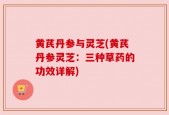 黄芪丹参与灵芝(黄芪丹参灵芝：三种草药的功效详解)