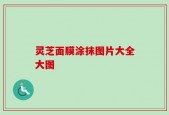 灵芝面膜涂抹图片大全大图