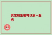 灵芝和生姜可以放一起吗
