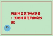 天地神灵芝(神秘芝肴：天地神灵芝的神奇妙用)