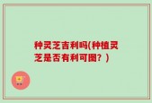 种灵芝吉利吗(种植灵芝是否有利可图？)