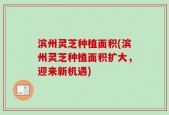 滨州灵芝种植面积(滨州灵芝种植面积扩大，迎来新机遇)