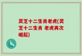 灵芝十二生肖老虎(灵芝十二生肖 老虎再次崛起)