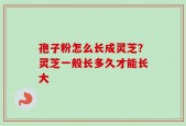 孢子粉怎么长成灵芝？灵芝一般长多久才能长大