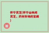 怀宁灵芝(怀宁山林间灵芝，药材市场的宝藏)