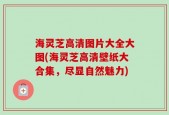 海灵芝高清图片大全大图(海灵芝高清壁纸大合集，尽显自然魅力)