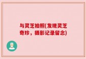 与灵芝拍照(发现灵芝奇珍，摄影记录留念)