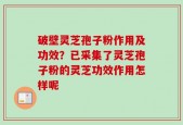 破壁灵芝孢子粉作用及功效？已采集了灵芝孢子粉的灵芝功效作用怎样呢