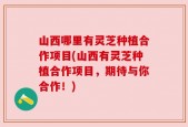 山西哪里有灵芝种植合作项目(山西有灵芝种植合作项目，期待与你合作！)