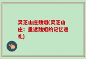 灵芝山庄魏姐(灵芝山庄：重返魏姐的记忆巡礼)