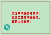 灵芝草动画图片高清(高清灵芝草动画图片，美丽生机盎然)