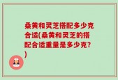 桑黄和灵芝搭配多少克合适(桑黄和灵芝的搭配合适重量是多少克？)