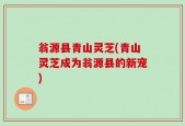 翁源县青山灵芝(青山灵芝成为翁源县的新宠)