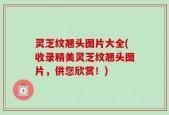 灵芝纹翘头图片大全(收录精美灵芝纹翘头图片，供您欣赏！)