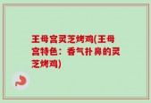 王母宫灵芝烤鸡(王母宫特色：香气扑鼻的灵芝烤鸡)