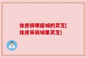 徐庶摘哪座城的灵芝(徐庶采摘城里灵芝)