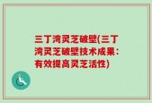 三丁湾灵芝破壁(三丁湾灵芝破壁技术成果：有效提高灵芝活性)