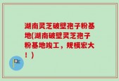 湖南灵芝破壁孢子粉基地(湖南破壁灵芝孢子粉基地竣工，规模宏大！)