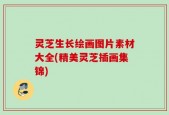 灵芝生长绘画图片素材大全(精美灵芝插画集锦)