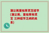 蒲公英夏枯草灵芝结节(蒲公英、夏枯草和灵芝 三种结节之间的关系)