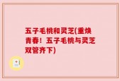 五子毛桃和灵芝(重焕青春！五子毛桃与灵芝双管齐下)