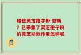 破壁灵芝孢子粉 菇新？已采集了灵芝孢子粉的灵芝功效作用怎样呢
