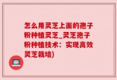 怎么用灵芝上面的孢子粉种植灵芝_灵芝孢子粉种植技术：实现高效灵芝栽培)