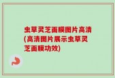 虫草灵芝面膜图片高清(高清图片展示虫草灵芝面膜功效)