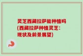 灵芝西藏拉萨能种植吗(西藏拉萨种植灵芝：现状及前景展望)