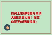 白灵芝很硬吗图片高清大图(高清大图！探究白灵芝的硬度程度)