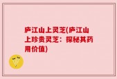 庐江山上灵芝(庐江山上珍贵灵芝：探秘其药用价值)