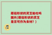 蘑菇形状的灵芝能吃吗图片(蘑菇形状的灵芝是否可作为食材？)
