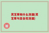 灵芝草和什么泡酒(灵芝草与百合花泡酒)