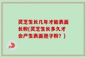 灵芝生长几年才能表面长粉(灵芝生长多久才会产生表面孢子粉？)