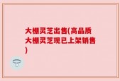 大棚灵芝出售(高品质大棚灵芝现已上架销售)