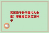 灵芝孢子种子图片大全集？哪里能买到灵芝种子