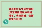 灵芝配什么中药材最好(灵芝最佳搭配中药材排名，功效震撼，保健养生不可少)