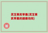 灵芝黄芪苹果(灵芝黄芪苹果的健康功效)