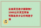 云南灵芝孢子提取物？1000公斤灵芝萃体可取出多少公斤纯孢子油
