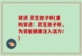 肾透 灵芝孢子粉(重构肾透：灵芝孢子粉，为肾脏健康注入活力！)
