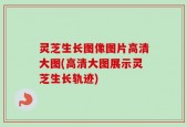 灵芝生长图像图片高清大图(高清大图展示灵芝生长轨迹)