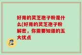 好用的灵芝孢子粉是什么(好用的灵芝孢子粉解密，你需要知道的五大优点