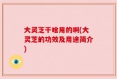 大灵芝干啥用的啊(大灵芝的功效及用途简介)