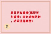 黑灵芝和重楼(黑灵芝与重楼：同为珍稀药材，功效值得期待)