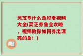 灵芝养什么鱼好看视频大全(灵芝养鱼全攻略，视频教你如何养出漂亮的鱼！)